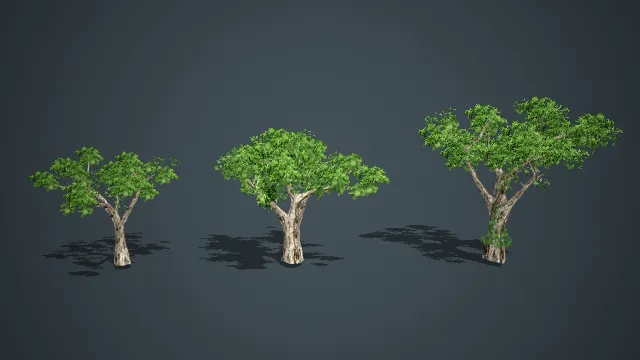 三款写实风格阔叶树 3D 模型 游戏场景绿化树木素材包