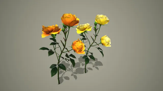 黄橙双色带花苞与枝叶的写实玫瑰花卉 3D 模型