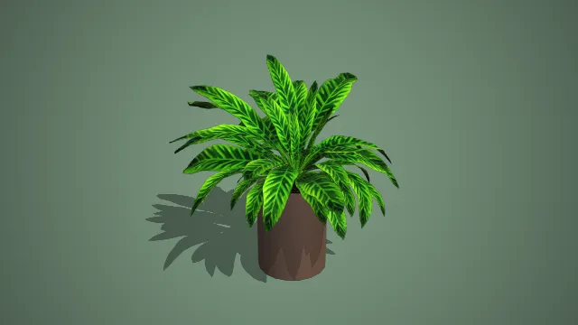 写实风格黑筒盆斑马叶观叶植物 3D 室内装饰盆栽模型