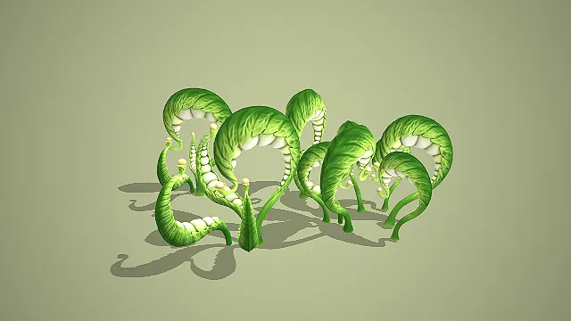 绿卷囊状带籽奇幻植物组合 3D 模型