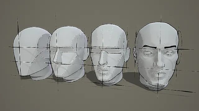   教学风格头部结构3D模型，绘画辅助（头部结构、教学风格、分步展示、绘画辅助、结构元素 ）
