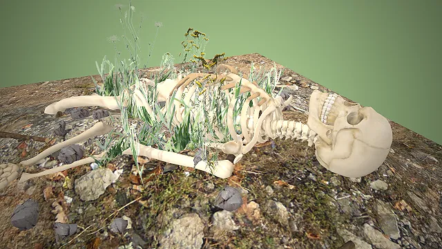 人类骨骼遗骸  野外场景  生命消逝  自然侵蚀