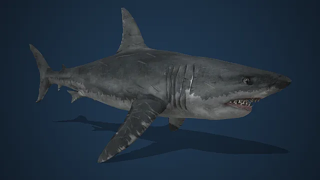   海洋掠食者  写实风  水下生物