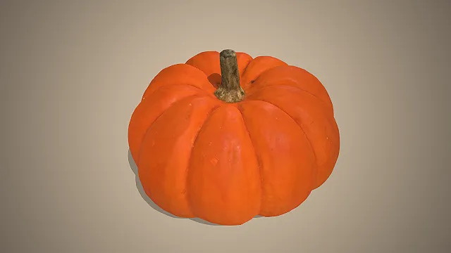 南瓜  木质果柄  葫芦科植物  烹饪食材