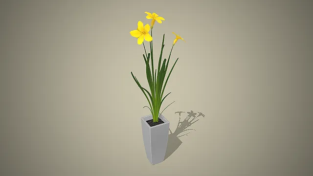 黄色萱草  现代简约风  修长叶片  落地装饰盆栽