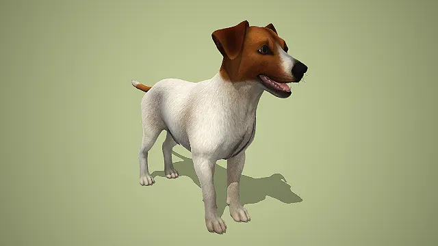 写实风棕白相间杰克罗素梗 3D 模型