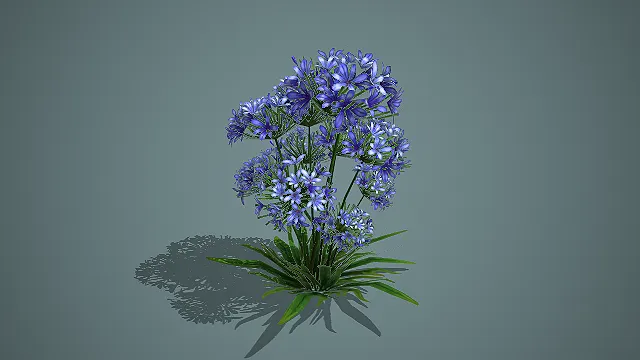 低模百子莲紫色花簇 3D 模型 游戏场景植物素材