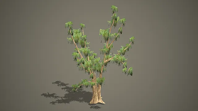 低模落羽杉 3D 模型 湿地场景大型水杉树木素材