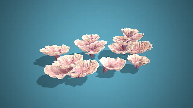 淡紫花瓣状多形态海洋珊瑚组合 3D 模型