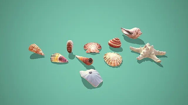 海洋贝壳与海星组合装饰摆件