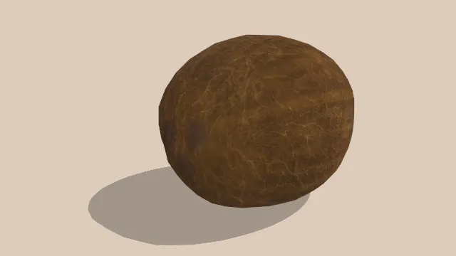 水果椰子果实食物