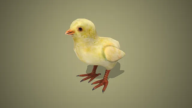 一个带有趣味设定的，写实卡通小鸡3D模型