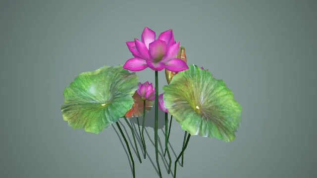 写实风格粉莲荷叶组合 3D 中式水景装饰道具模型
