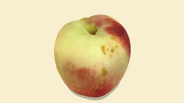 成熟的油桃水果有果肉食物