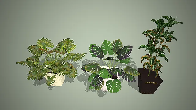 热带观叶盆栽  植物模型  室内绿植装饰  自然清新