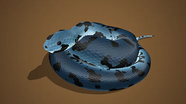 黑白斑纹粗身蛇类生物 3D 模型