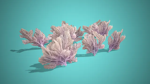 灰紫叶状多形态海洋珊瑚组合 3D 模型