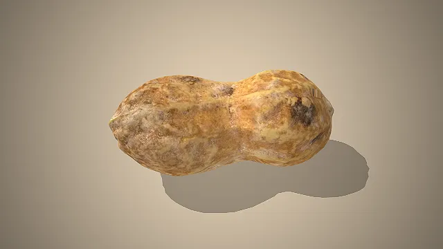 带壳花生  食材模型  坚果零食  烘焙原料