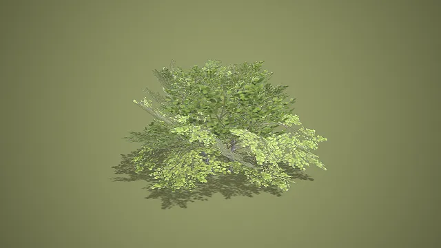 双株混生灌木 3D 低多边形户外植被场景装饰模型