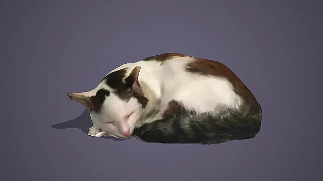 三花色家猫蜷缩酣睡姿态写实动物模型