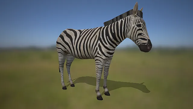 写实斑马  非洲草原动物  野生动物  自然生态