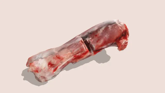 羊腿肉食物肉类