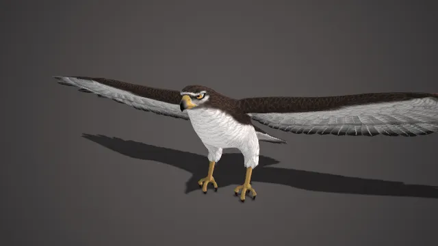 写实风  鹰  猛禽  褐色斑纹  锐利鹰眼  黄色喙部  尖爪