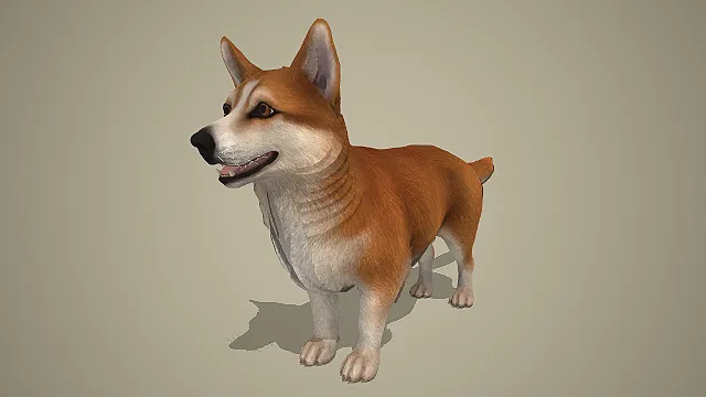 写实风棕白相间柯基犬 3D 模型