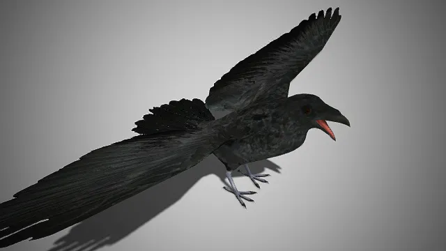 写实风格  黑鸦  墨色羽纹  双翼半展  尖喙  飞禽  荒野生物的冷戾  悬疑场景  