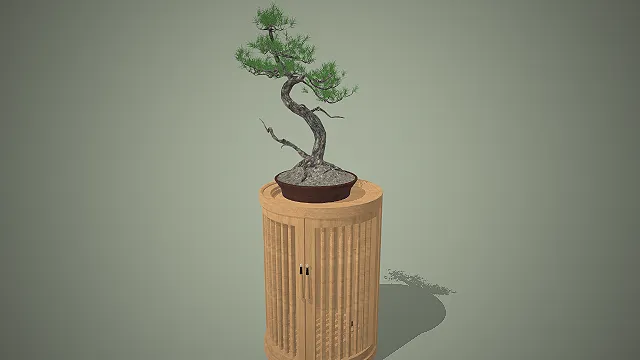 中式陈设  木质家具  室内装饰  松柏  艺术盆栽