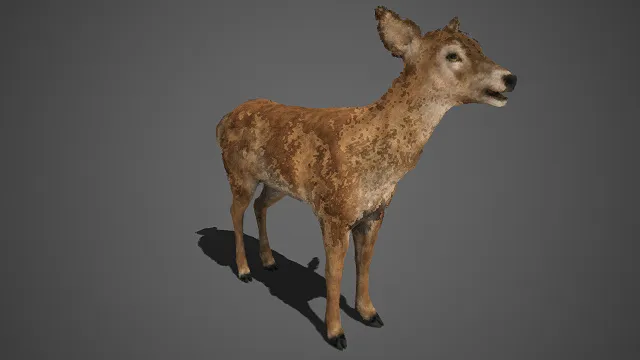 写实风格  幼鹿  米白交织的软毛  蓬松细腻  身形小巧  神态温顺灵动  天真  自然灵动