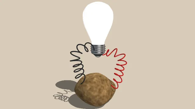 灯泡有电线连接土豆蔬菜实验