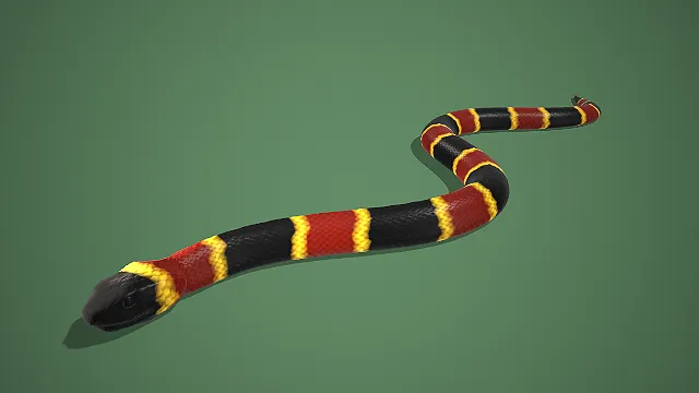 黑红金环纹蛇类生物 3D 模型