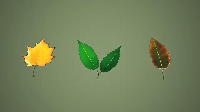 三款不同形态夏秋叶片组合 3D 自然场景装饰模型