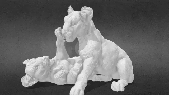 玩耍的两只幼师