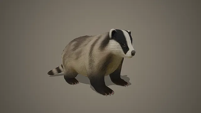 写实风獾类生物模型