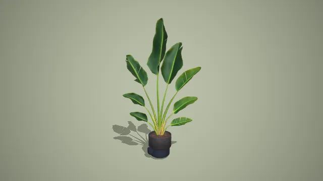 带接水盘的鹤望兰（天堂鸟）大型盆栽绿植 3D 模型