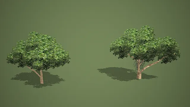 两款写实阔叶乔木 3D 模型 游戏场景绿化树木素材包