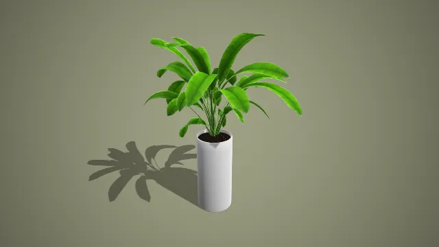 写实风格黑筒盆阔叶观叶植物 3D 室内装饰盆栽模型