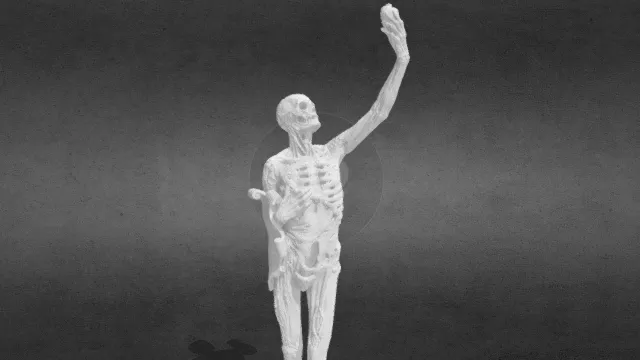 勒·特兰西·勒·尚农雕像