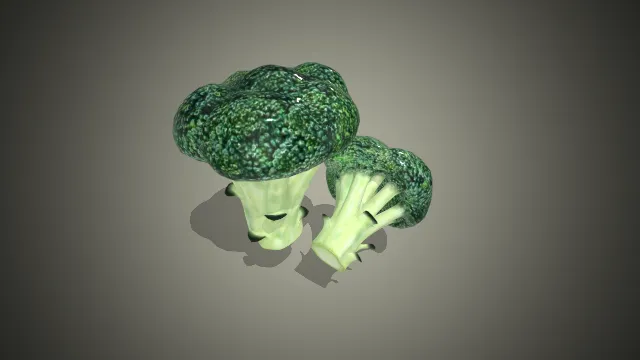 两颗西兰花的3D模型  新鲜蔬菜