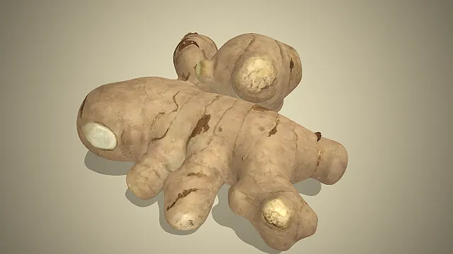 一个写实风格的3D生姜模型，适合用于美食场景
