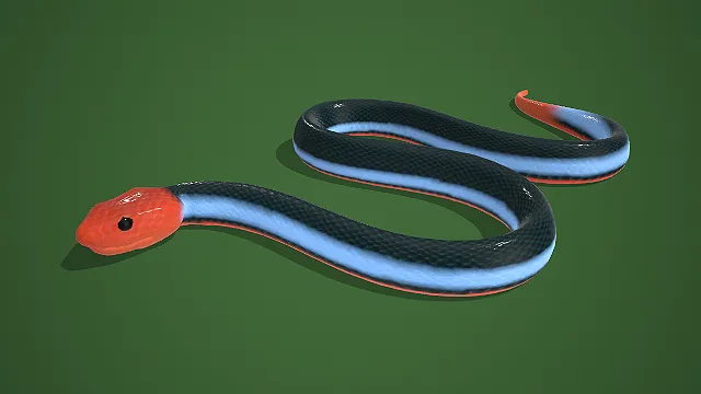 红首蓝身黑纹蛇类生物 3D 模型
