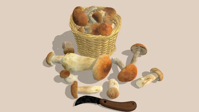 一箩筐和散落满地的蘑菇还有个小镰刀