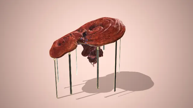 黑神话  地灵伞盖  道具  游戏  模型