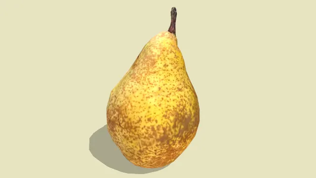 梨  水果  食物  果肉  模型