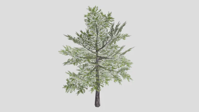 树tree_low-poly
