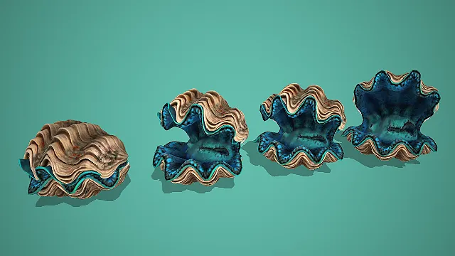 蓝纹贝母多形态砗磲贝壳组合 3D 模型