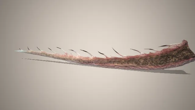 黑神话  骊龙尾  游戏建模  模型  道具