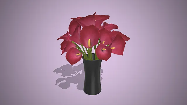 黑色收腰陶瓷花瓶  酒红色马蹄莲花  现代轻奢风  饱满花簇